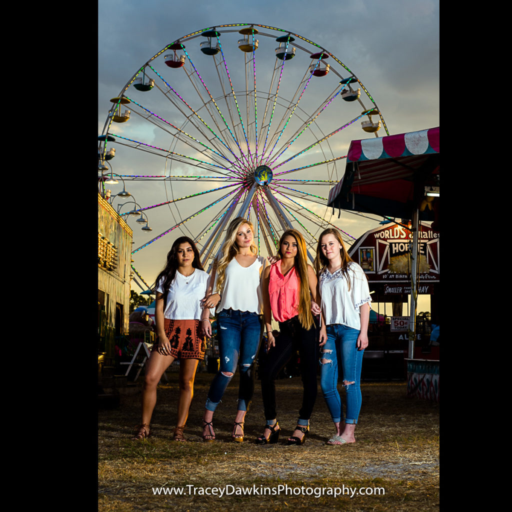 Ferris wheel, Carnival, Photo